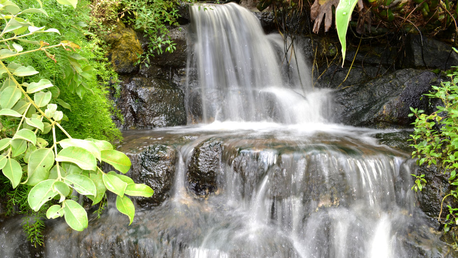 StratforduponAvon Butterfly Farm Places to go Lets Go With The