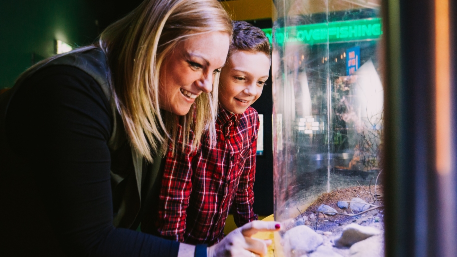 boy and women looking at fish in aquarium