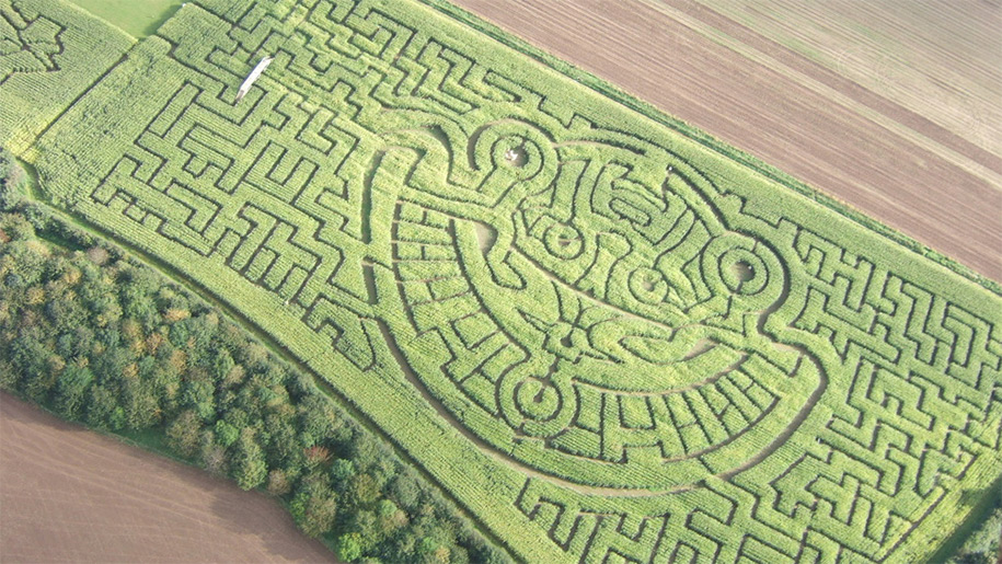 aerial view of maze