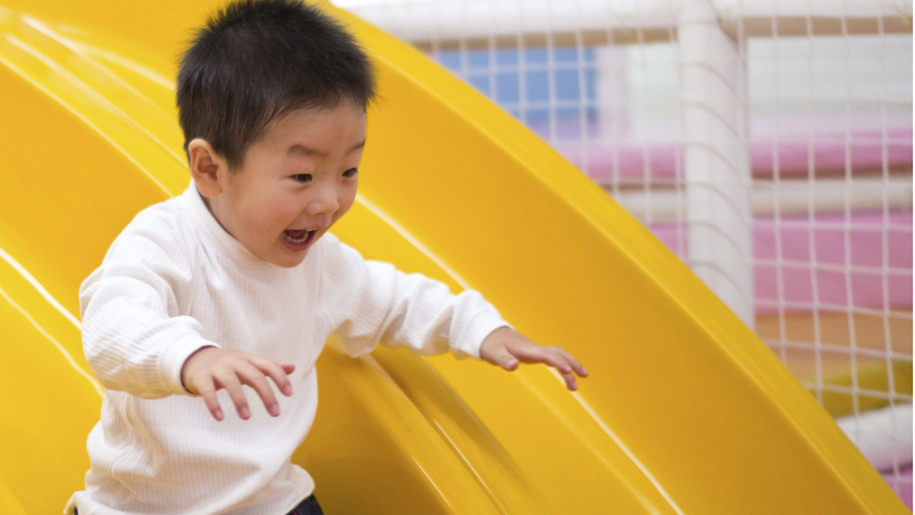 The Jungle Chesterfield Places to go Lets Go With The Children