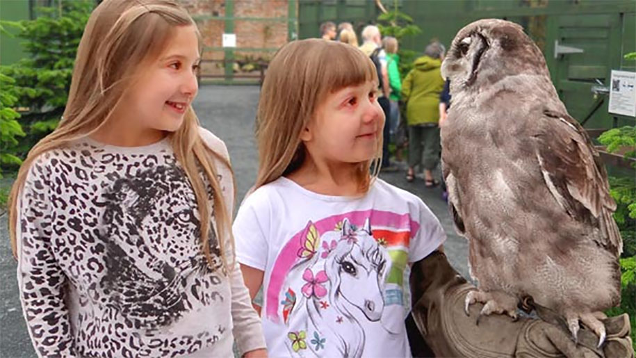 two girls looking at owl