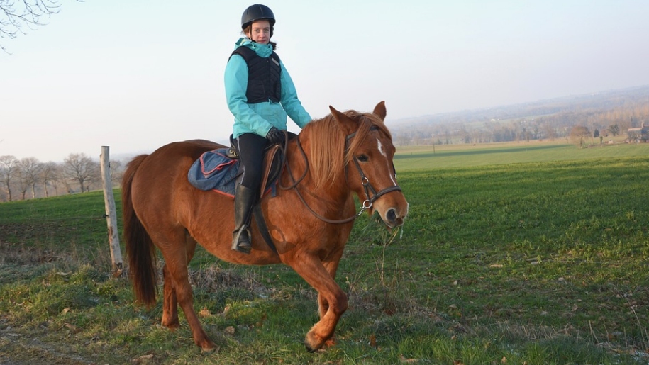 Rider on a chestnut pony.