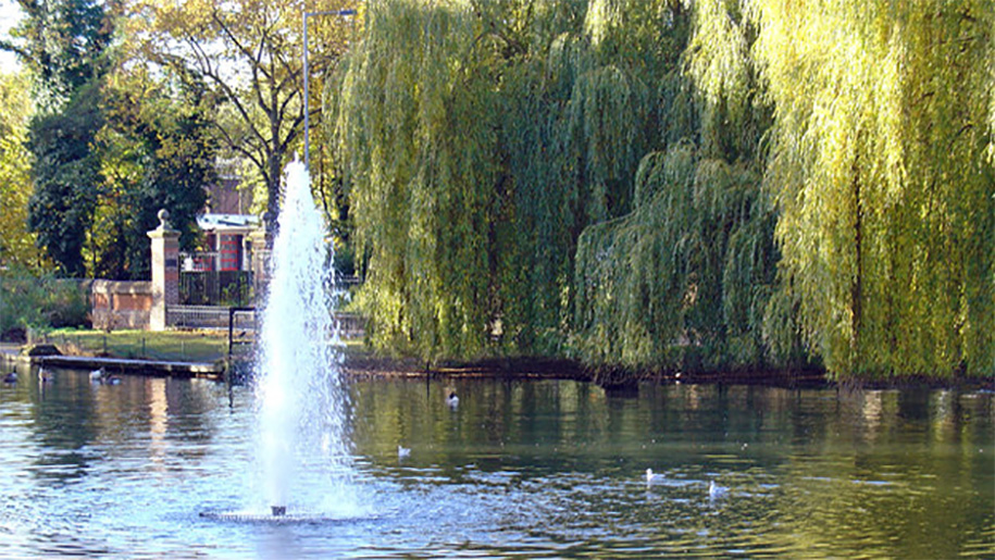 Fountain in pond