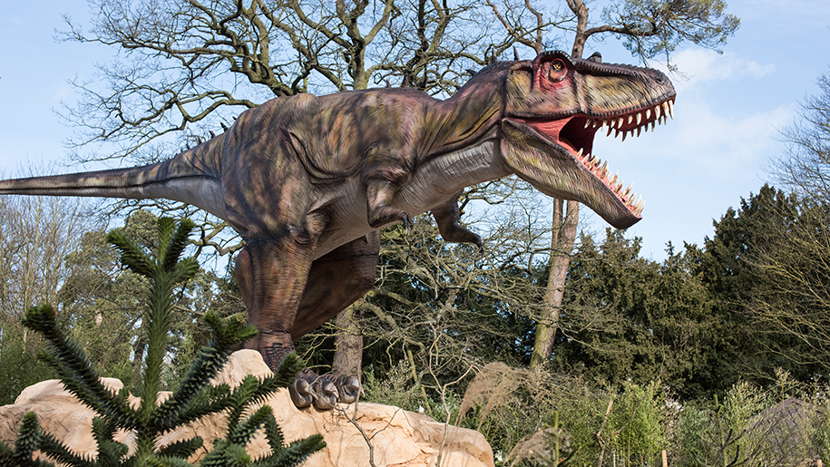 West Midland Safari Park dinosaur