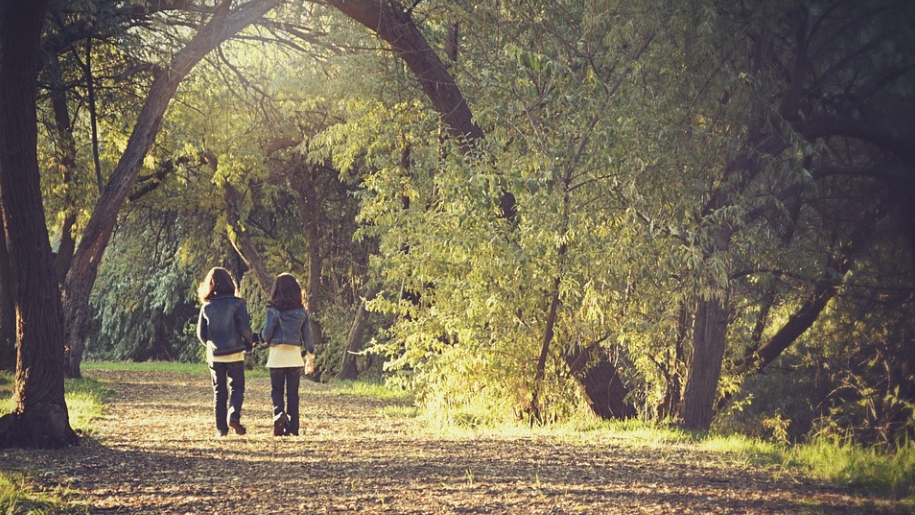 Children walking through woodland at Westonbirt Arboretum in Gloucestershire.