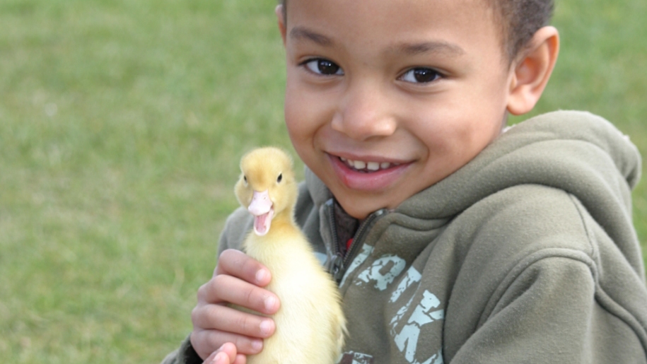 boy with duckling