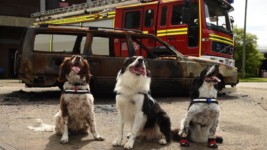 police dogs and fire engine