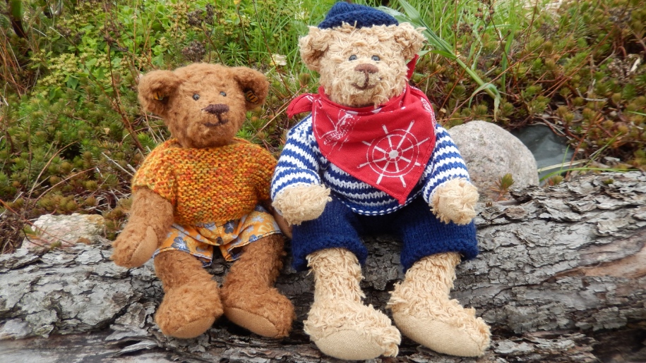 two teddy bears sitting on log