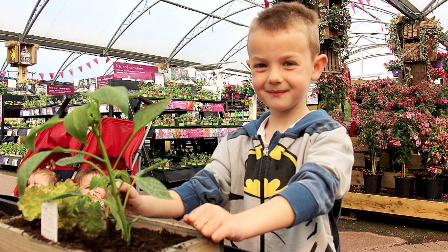 boy holding a plant