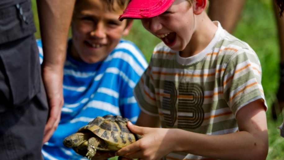 children with tortoise