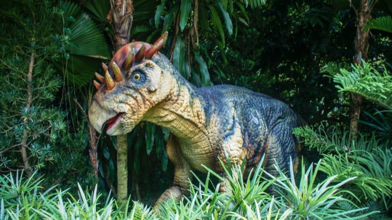 Plantasia Tropical Zoo Swansea - Places to go | Lets Go With The Children