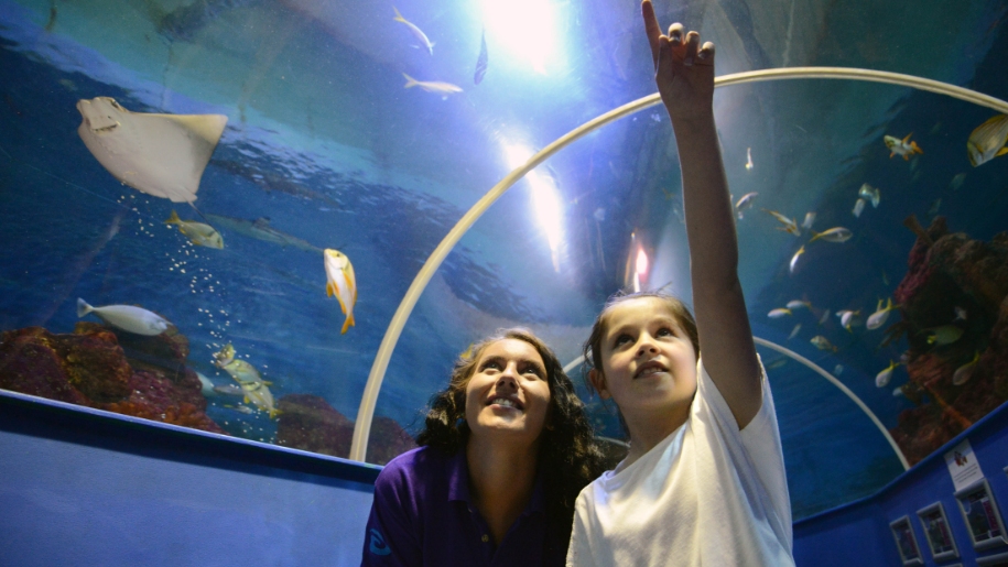 girl pointing in aquarium