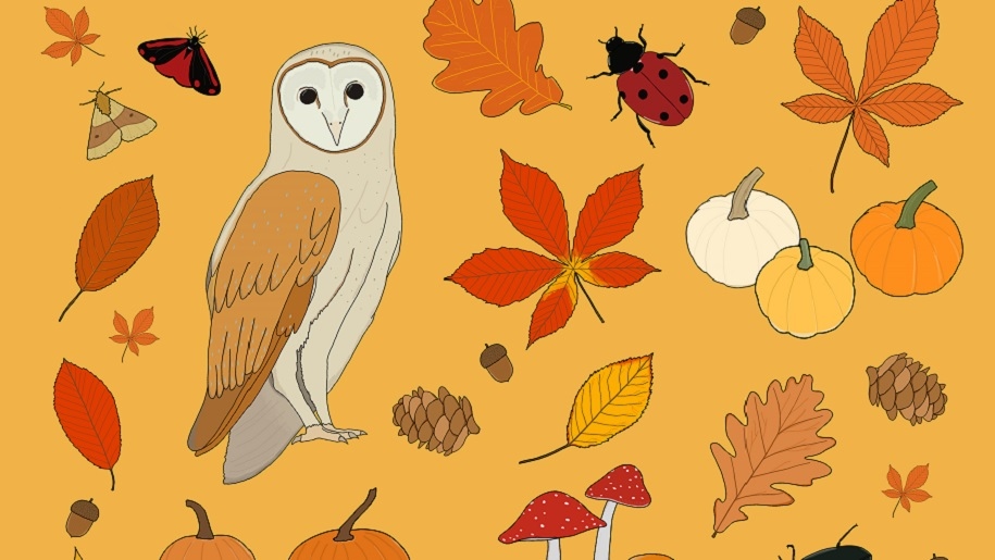 graphic of owl and autumn leaves at Holkham