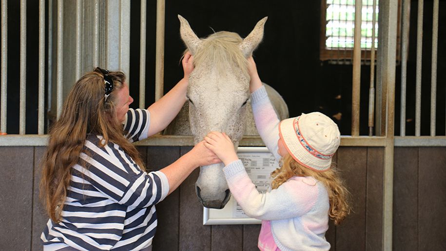 A woman and girl petting a horse at Redwings Horse Sanctuary