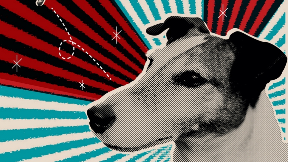 Laika at Unicorn Theatre