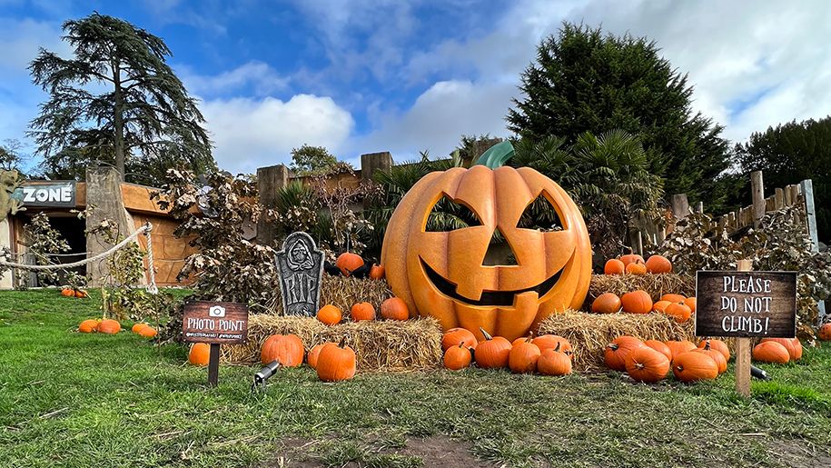 Pumpkin display at West Midland Safari Park