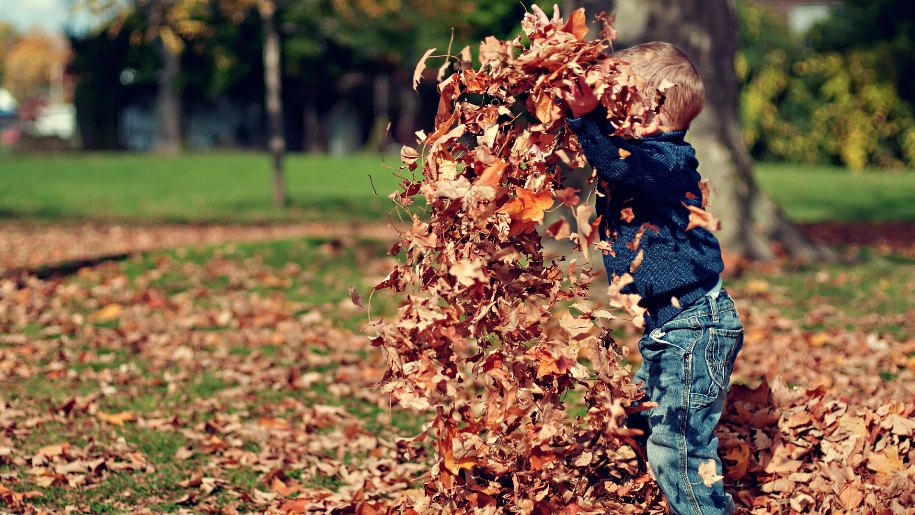 child with autumn leaves