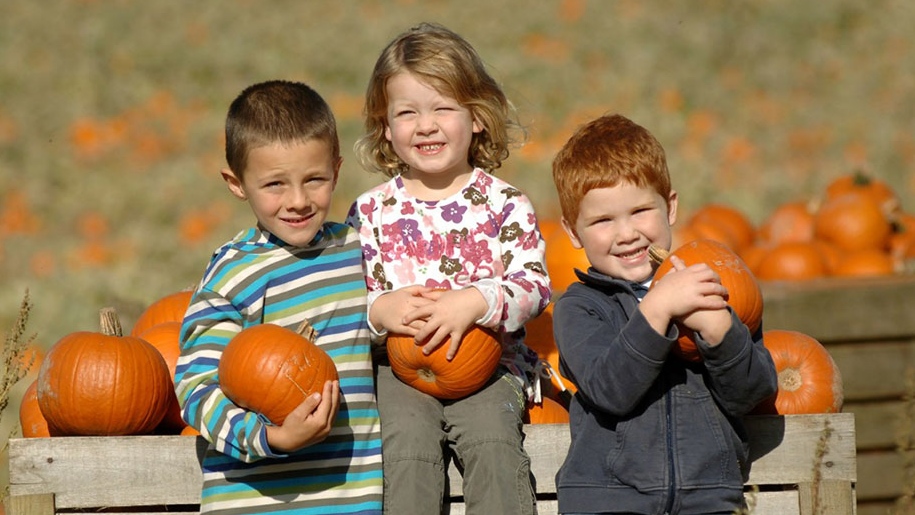 children with pumpkins at Willows Activity Farm