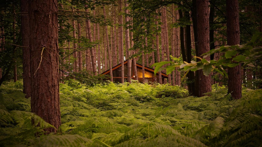 Forest Holiday lodge