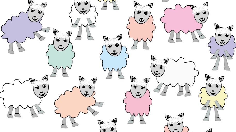 colourful sheep