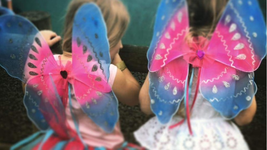 fairy wings