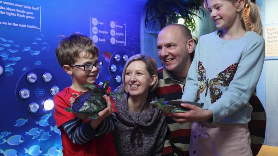 sealife family holding turtles