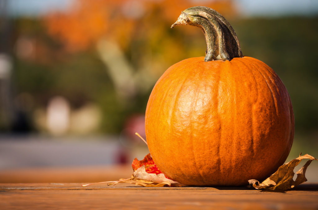 pumpkin parade