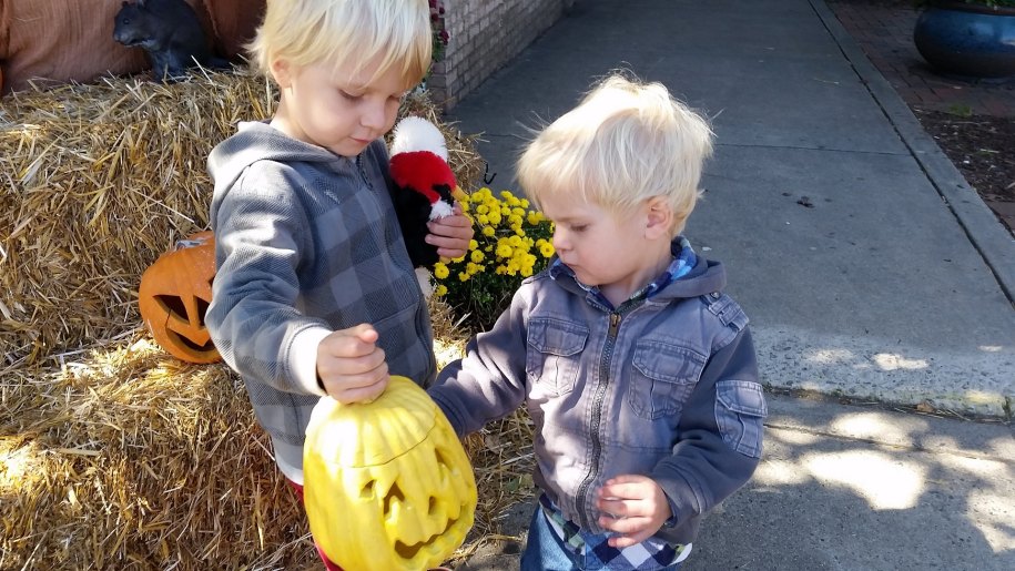 children and pumpkin