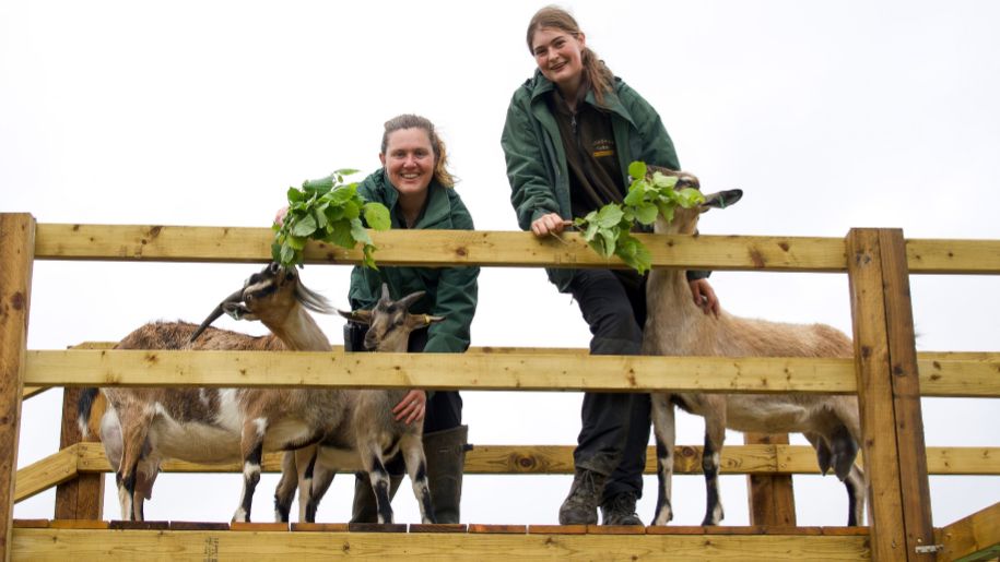 hogshaw farm