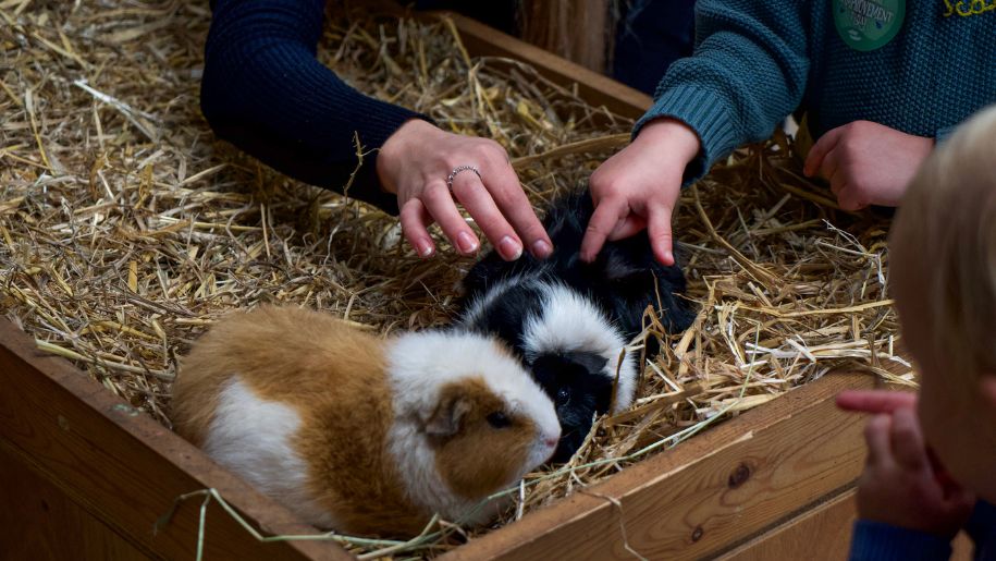 Hogshaw Farm