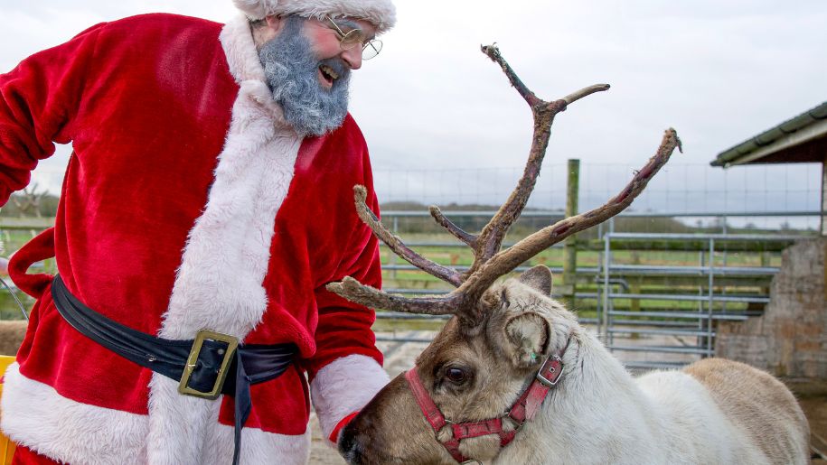 Father Christmas and reindeer at Hogshaw Farm.