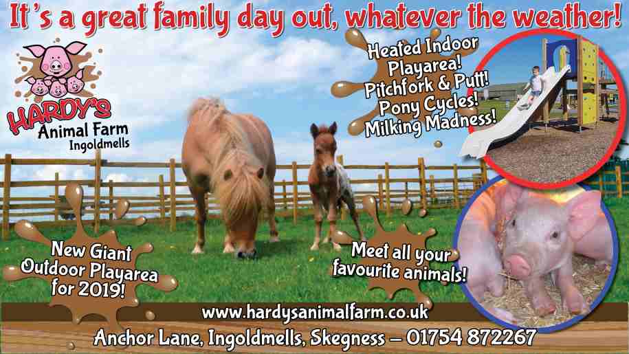 Hardy's Animal Farm - Places to go | Lets Go With The Children