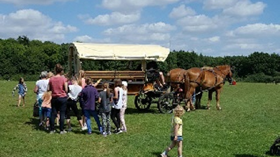 itchen valley country park horse