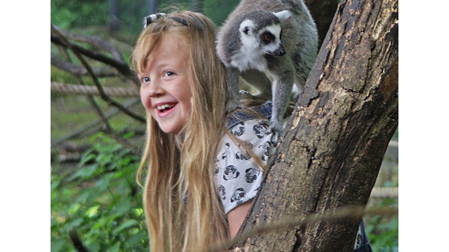 lakeland wildlife girl and lemur