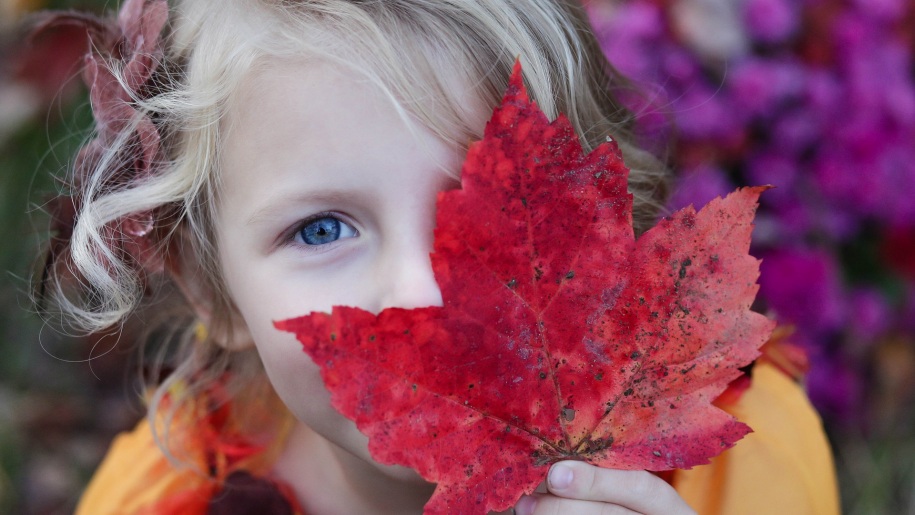 girl holding autumn leaf