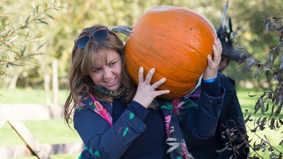 a picture of a pumpkin