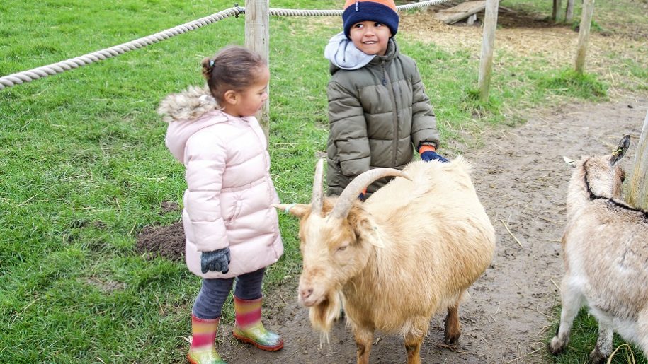 two children wiht a billy goat at Green Dragon Eco Farm
