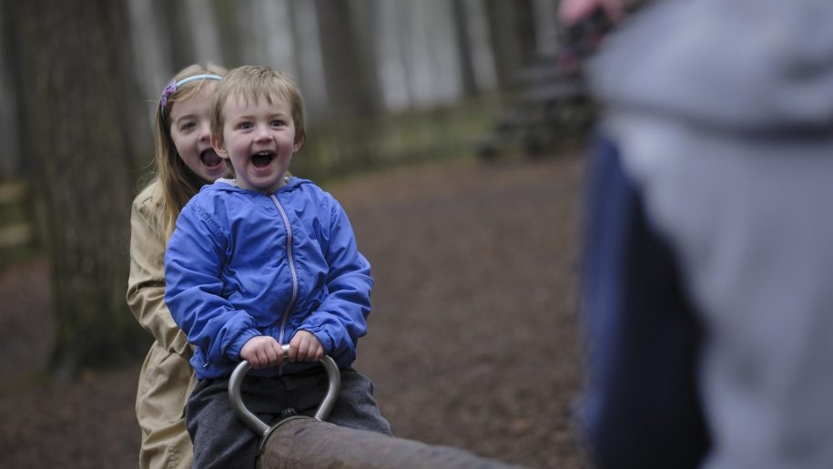 Cannock Chase Forest Places To Go Lets Go With The Children