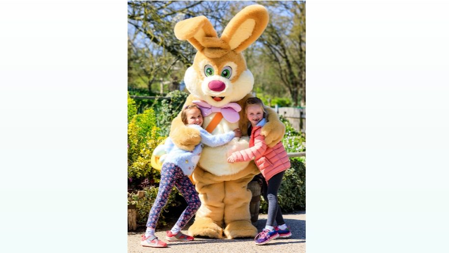 Bocketts Farm Family Ticket Competition Competitions Lets Go With