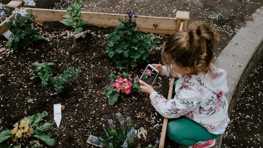 gardening to see the insects