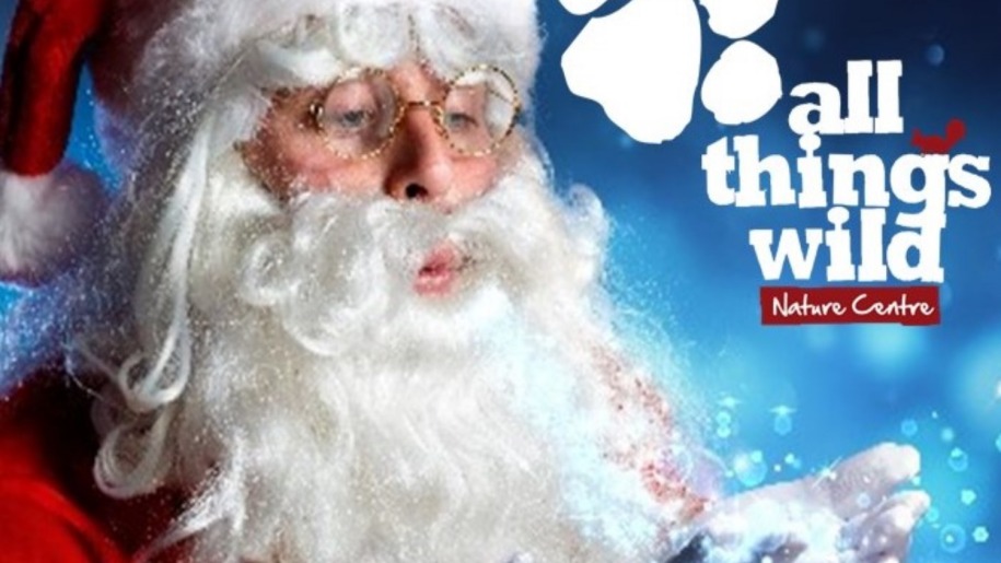 Santa at All Things Wild in Worcestershire.