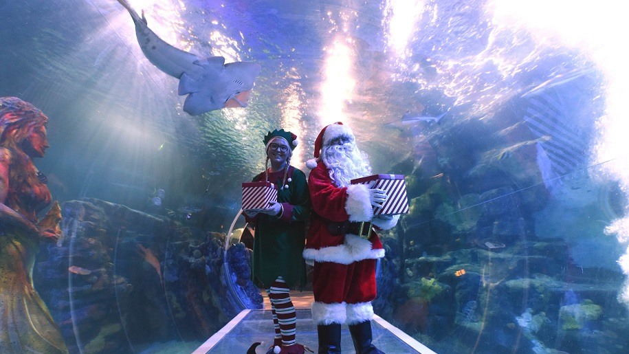 Santa and elf in an underwater tunnel at SEA LIFE.