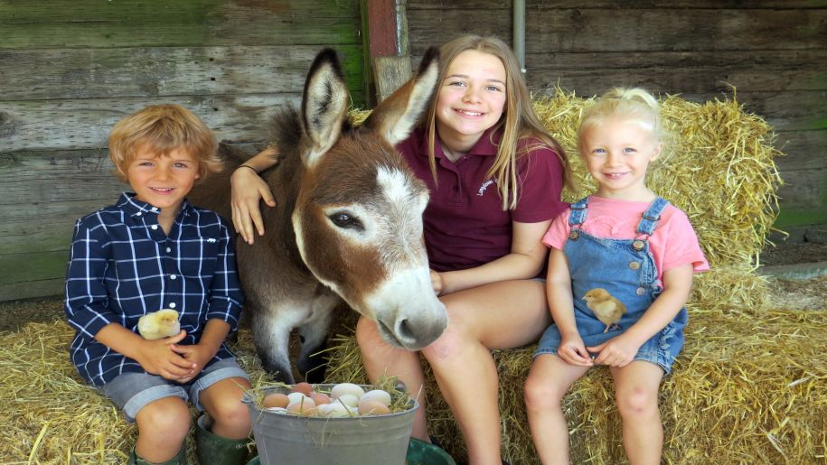 kids and donkey