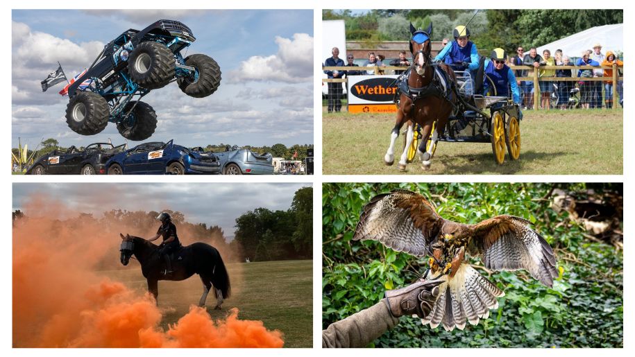 4 Images, the first (top left) is of a monster truck jumping over crushed cars,. The second (top right) is of 2 horses pulling a chariot. The third (Bottom left) is a police horse and its rider within orange smoke. The forth (Bottom Right) is a falcon held on a falconers hand.