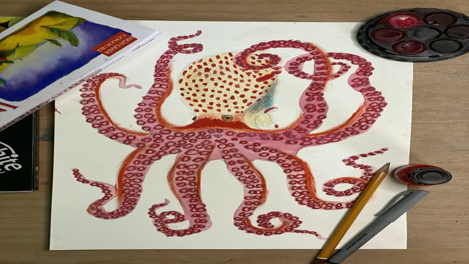 Cygnetss St Ives - drawing and painting of a squid