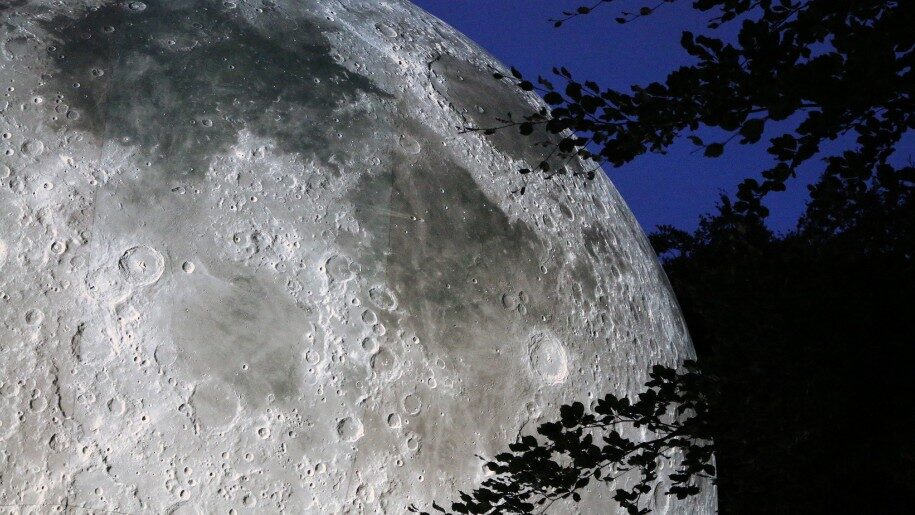 Under The Moon At Longleat Events Lets Go With The Children