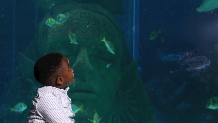 Sea Life Manchester boy sitting looking at large underwater face