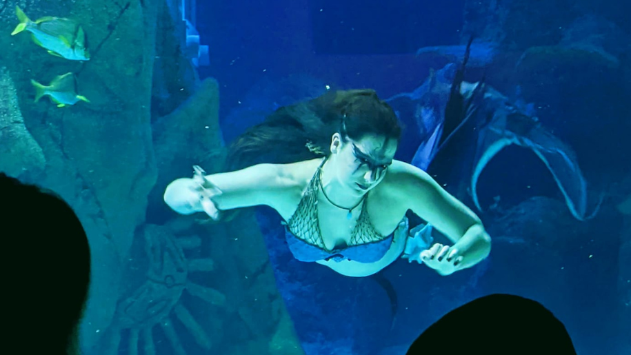 Mermaid in tank blue bikini