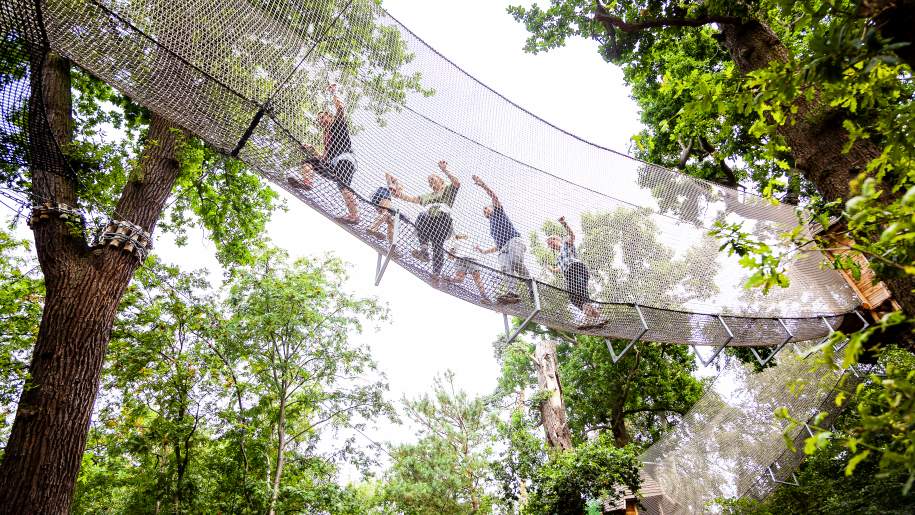 Visitors negotiating a tree-to-tree crossing at Go Ape