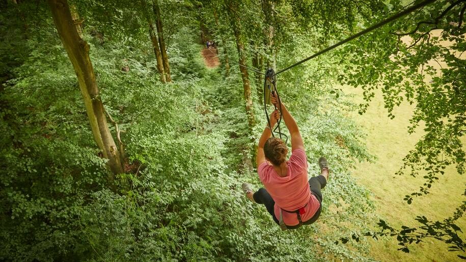 Visitor on zip wire at Go Ape